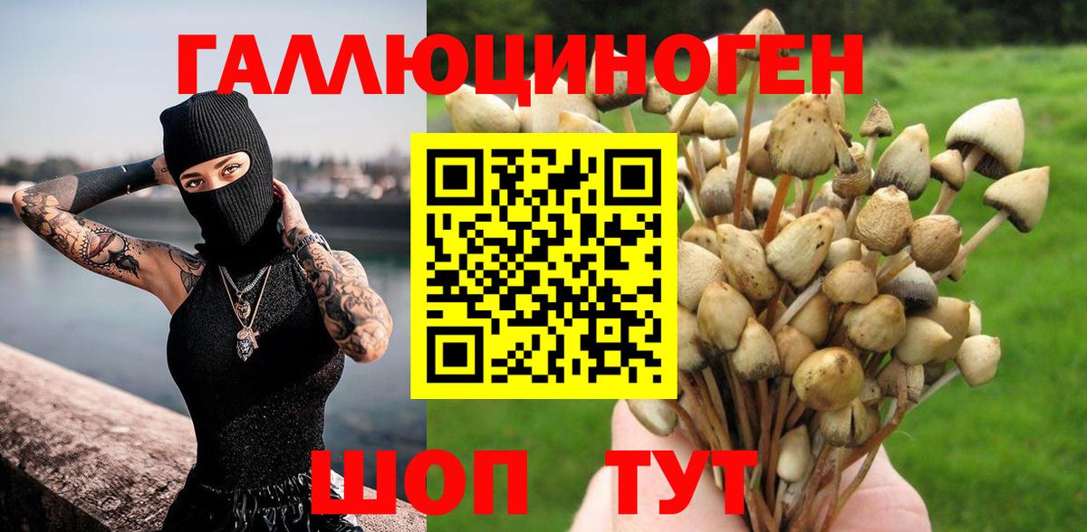 Псилоцибиновые грибы Psilocybine cubensis  Вход с VPN  магазин продажи   Шарыпово  Псилоцибиновые грибы мухоморы 