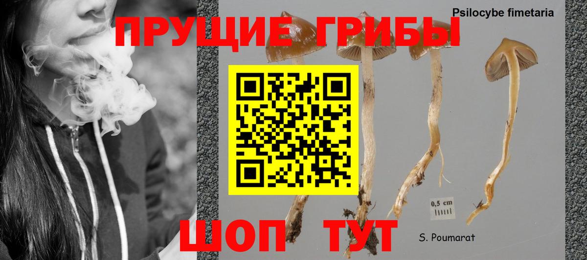 Марихуана  Кокаин  Шарыпово  Вход с VPN  Где купить наркотики?  ГАШ  Меф МЯУ МЯУ кристаллы  ГАШ 